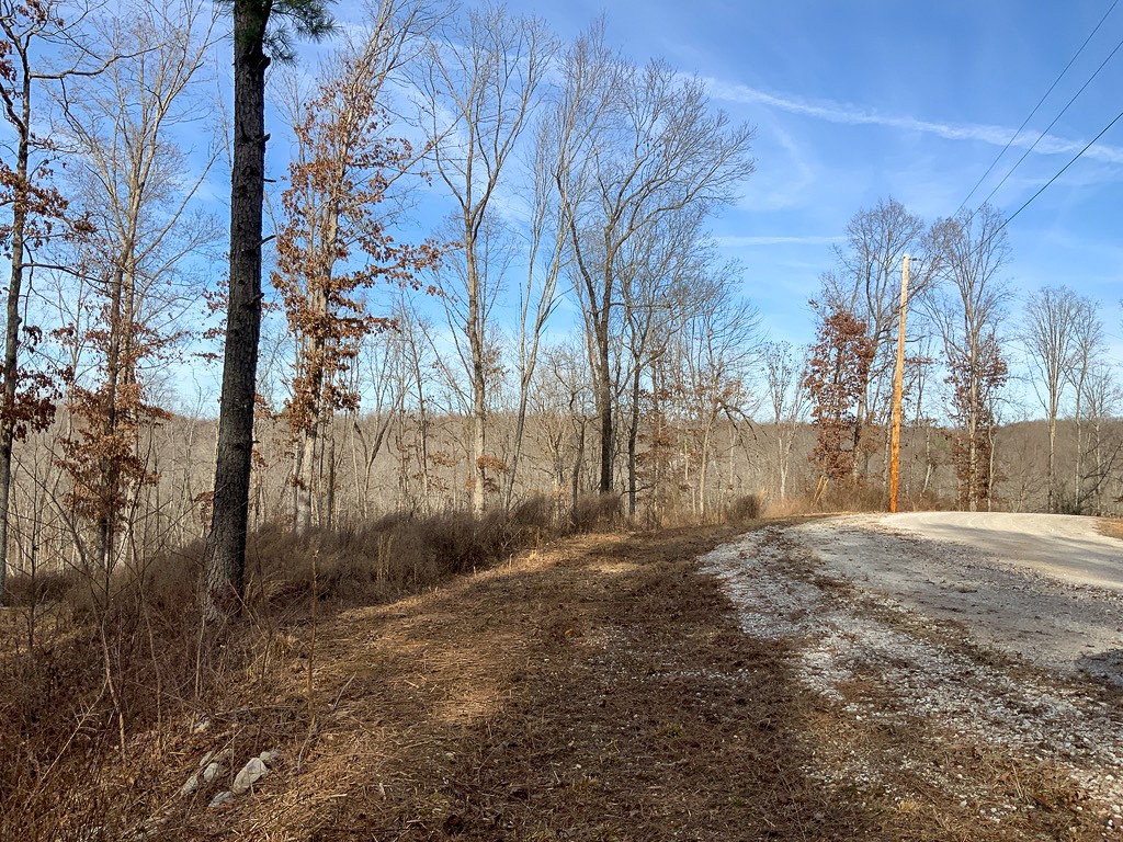 0 Bear Hollow Road Property Photo 4