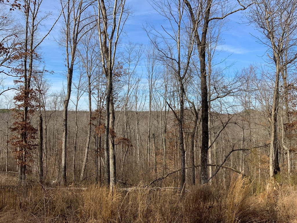 0 Bear Hollow Road Property Photo 7