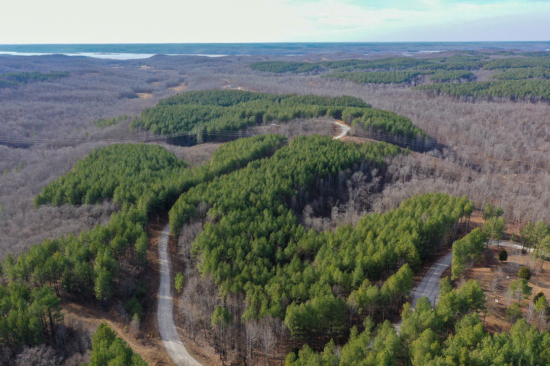 0 Bear Hollow Road Property Photo 8