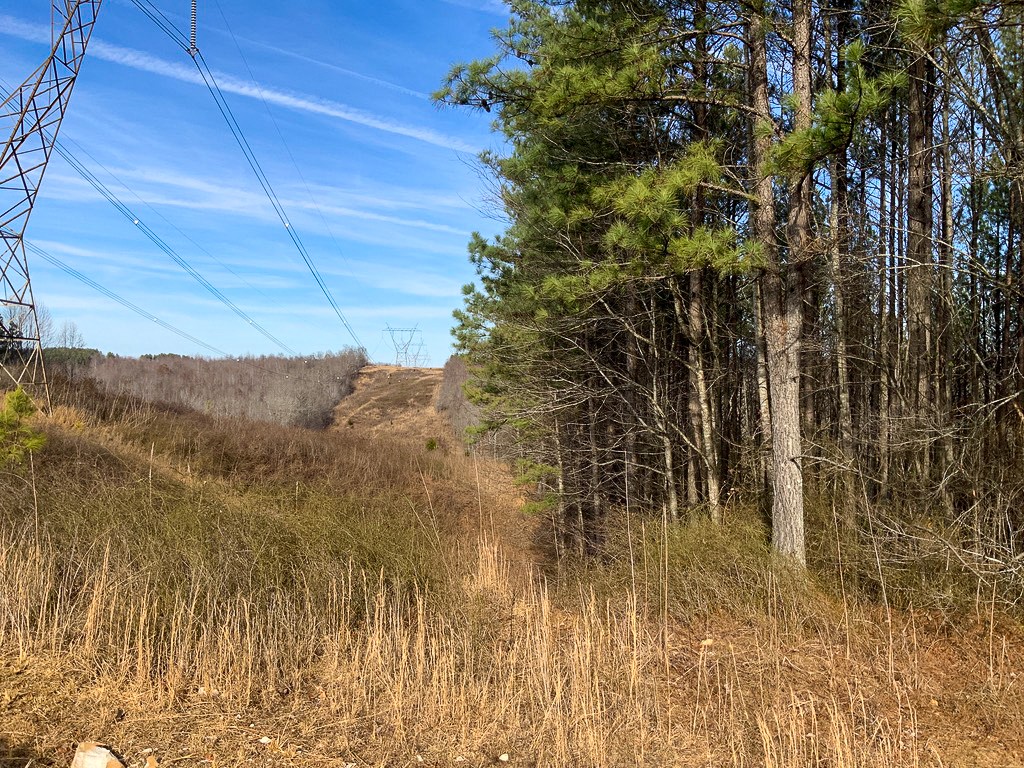 0 Bear Hollow Road Property Photo 10