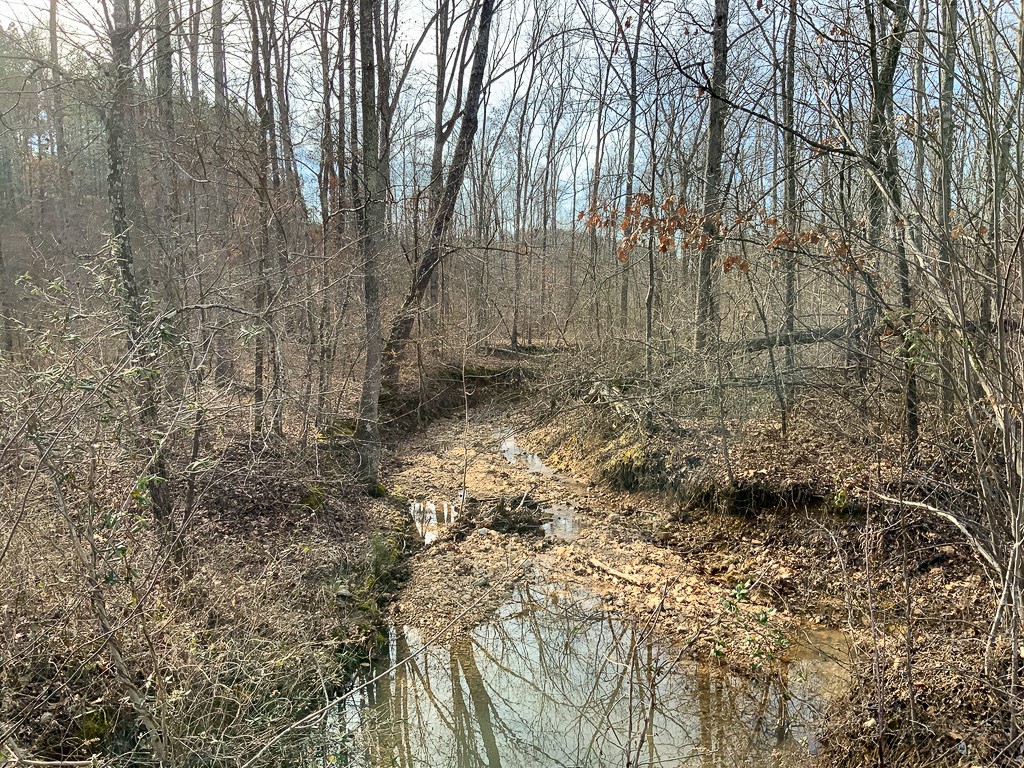 0 Bear Hollow Road Property Photo 13
