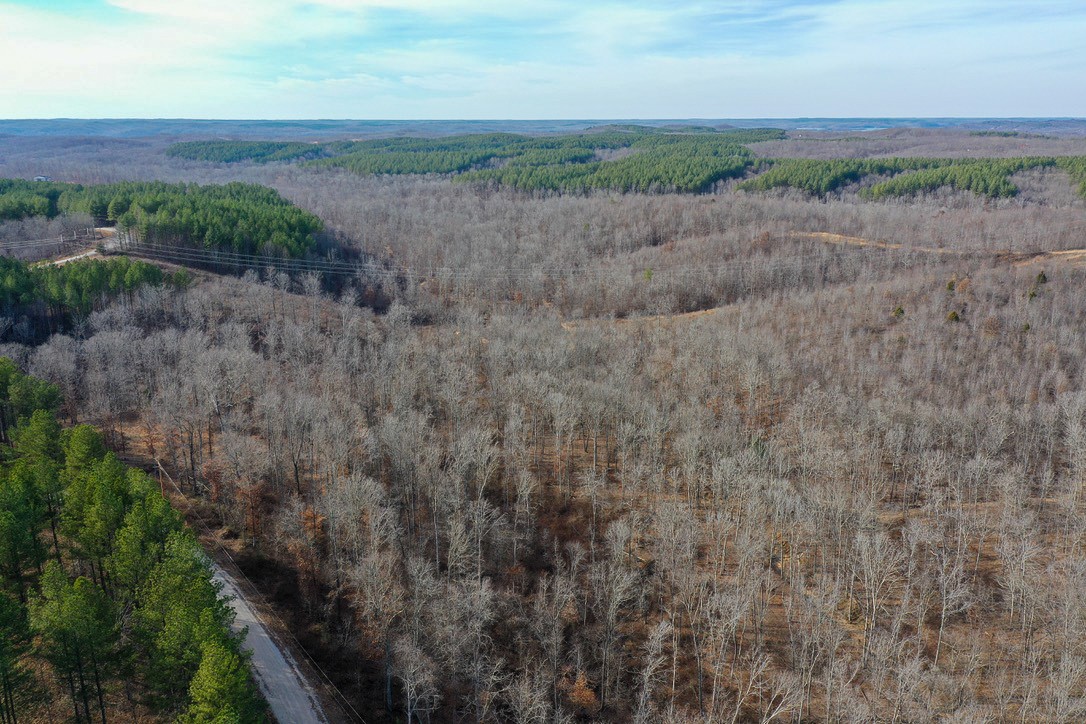 0 Bear Hollow Drive Property Photo 15