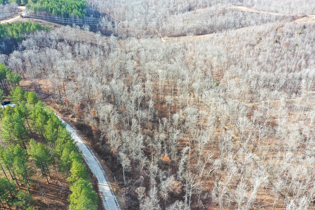 0 Bear Hollow Road Property Photo 18