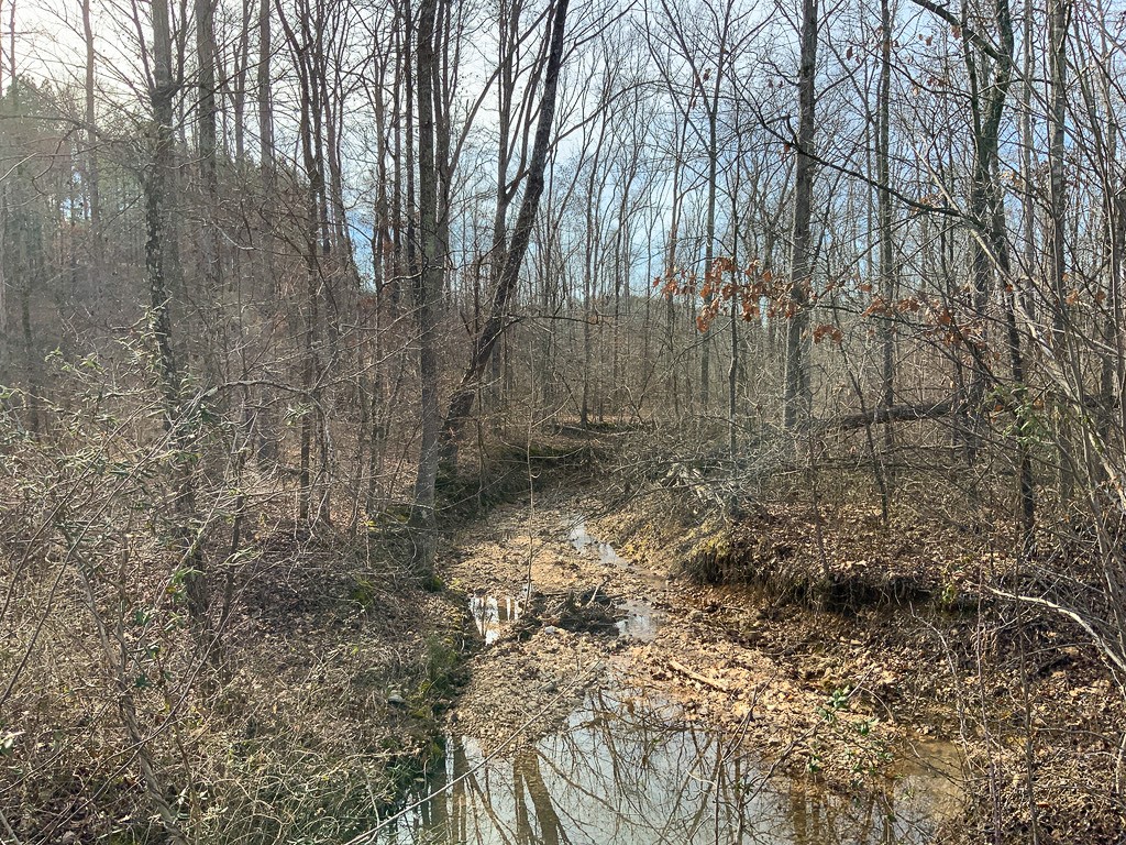 0 Bear Hollow Road Property Photo 25