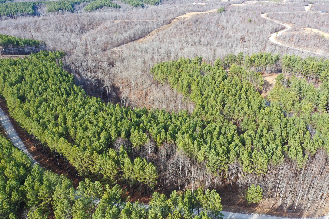 0 Bear Hollow Drive Property Photo 27