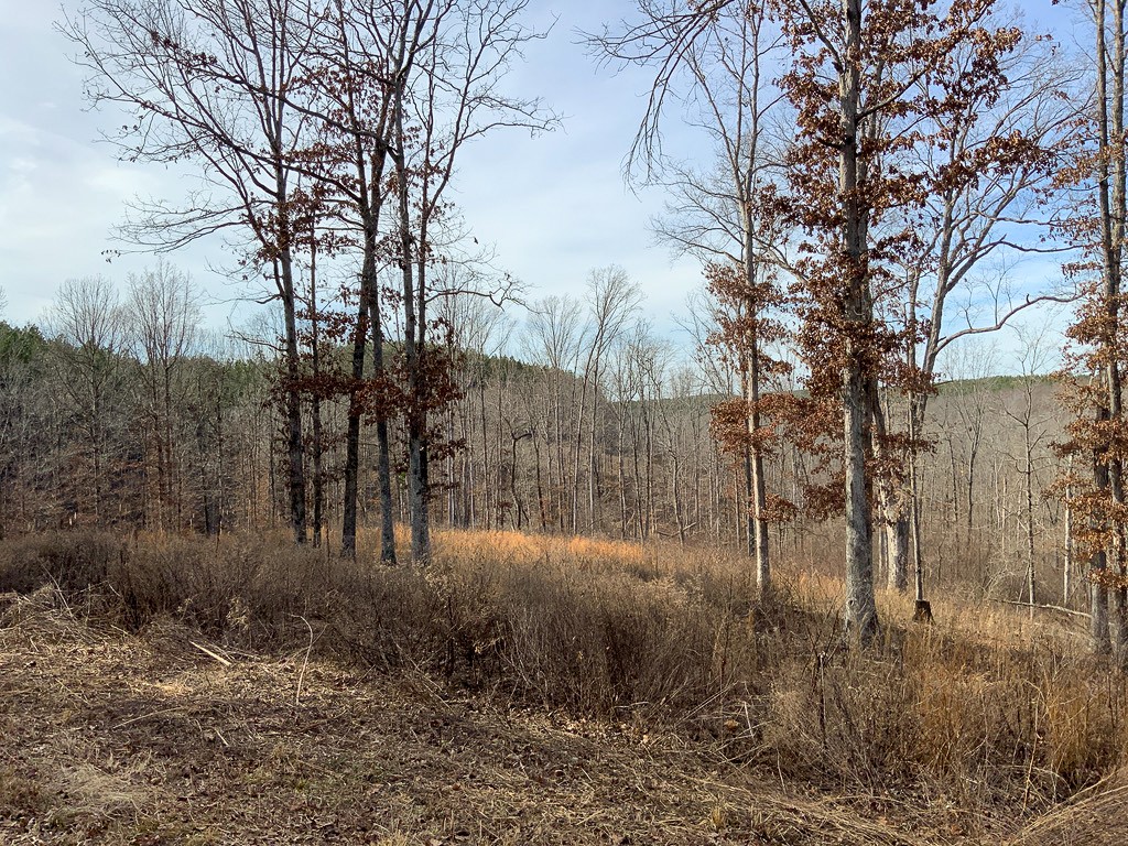 0 Bear Hollow Road Property Photo 28
