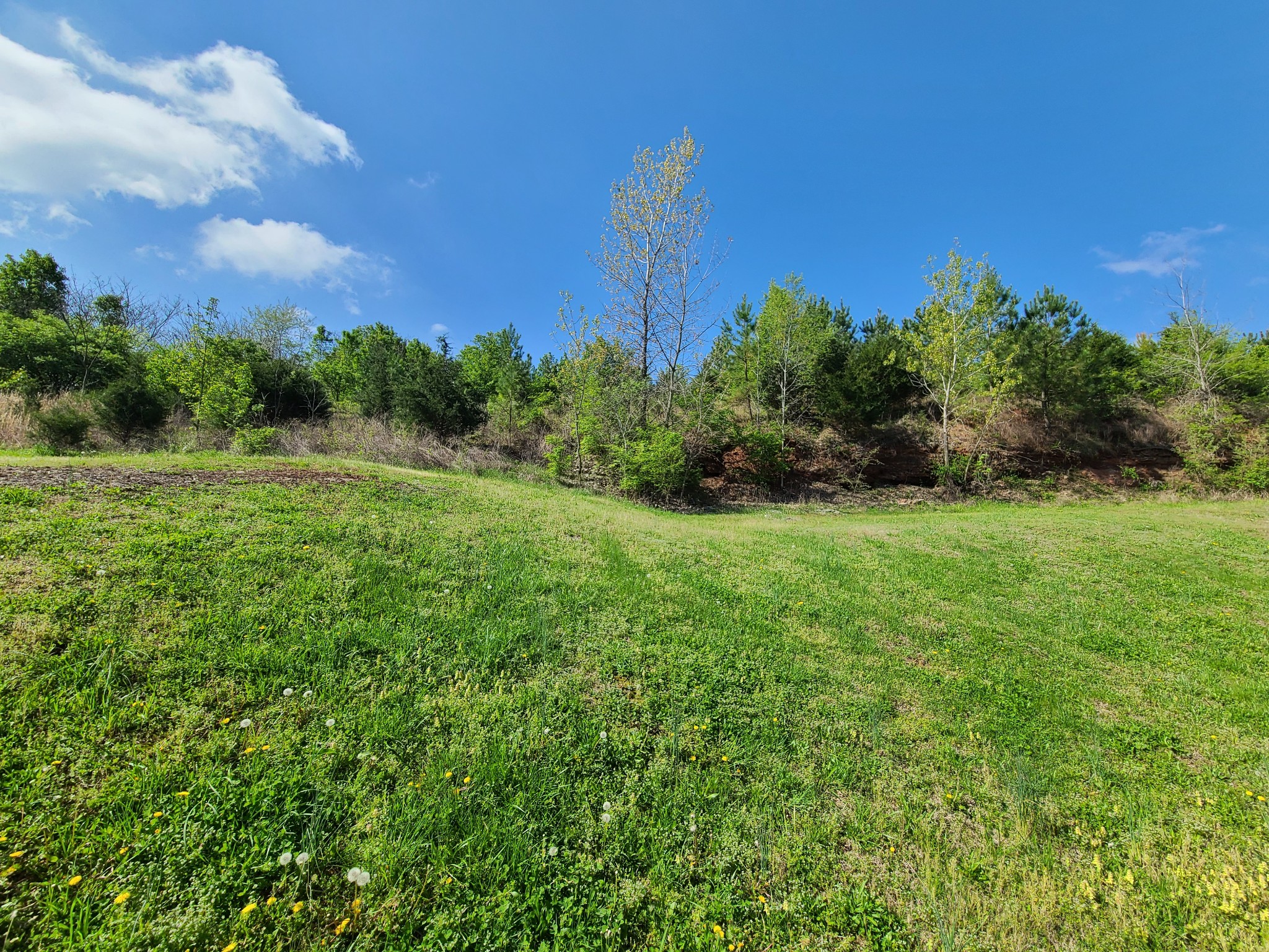 1277 Goodmorning Dr Property Photo 35
