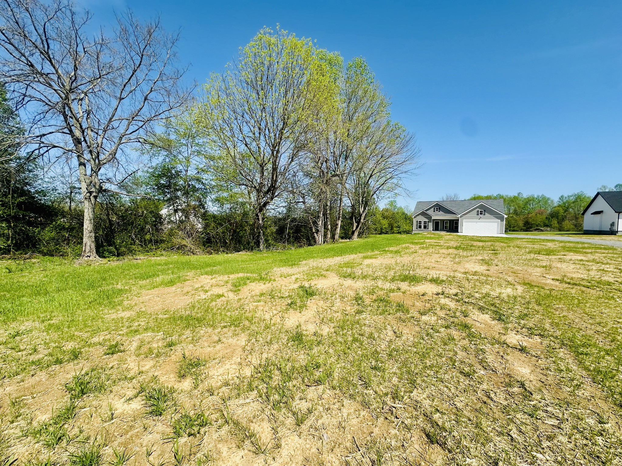 2240 Eugene Reed Road Property Photo 5
