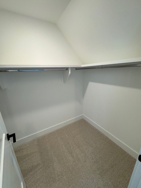 5900 Willoughby Way Property Photo 22