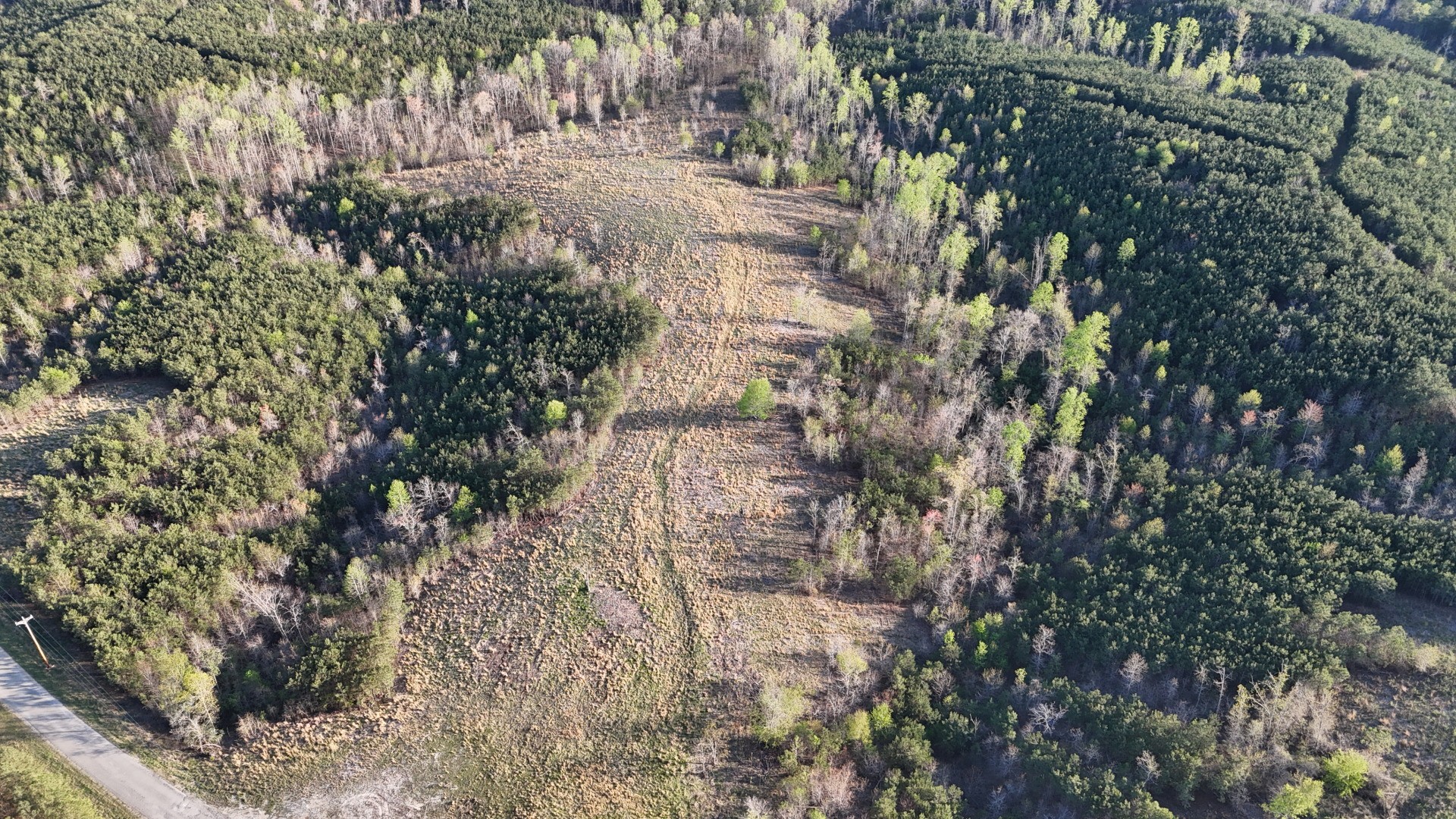 7986 Old Hohenwald Rd Property Photo