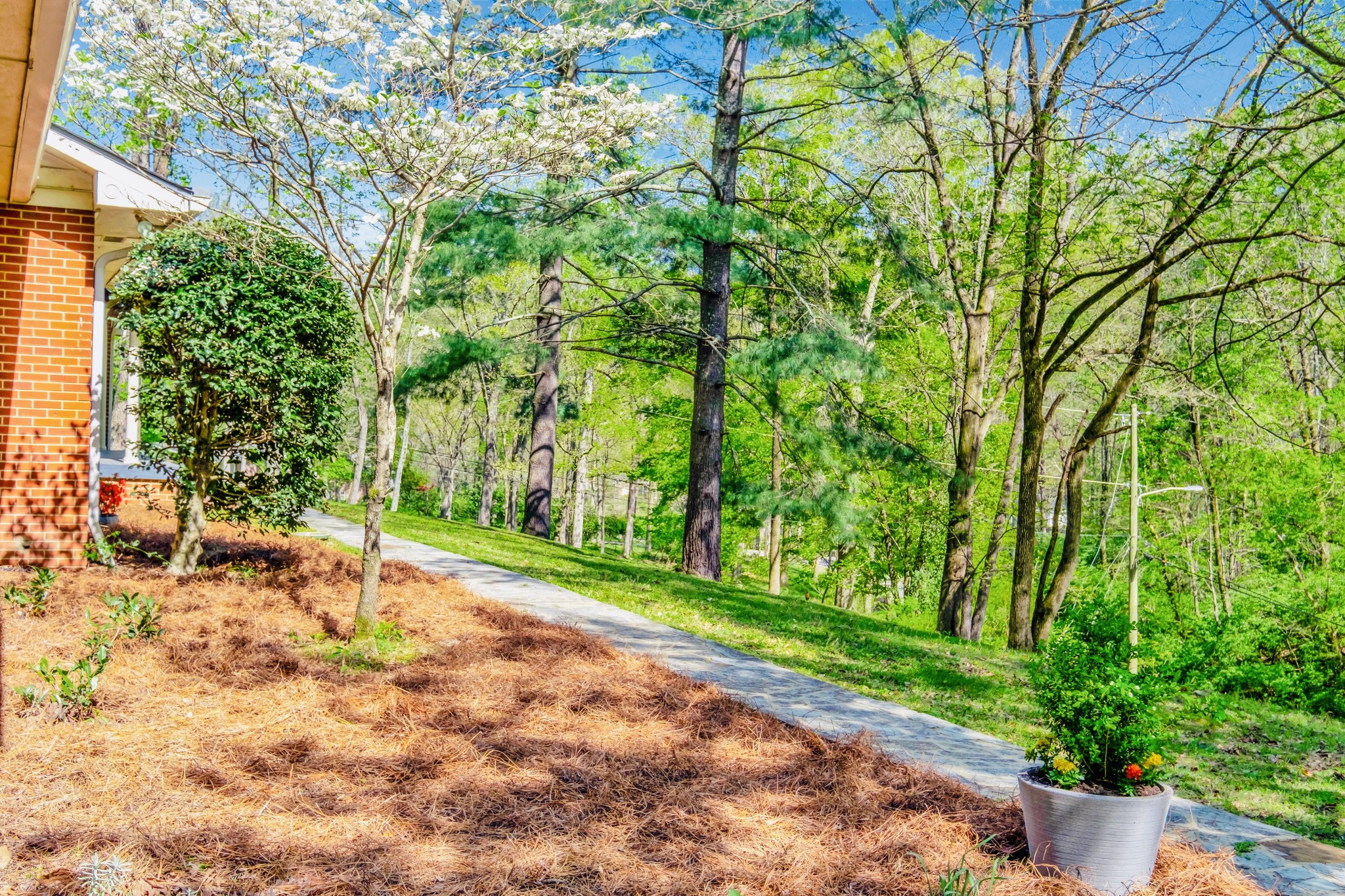 6612 Rolling Fork Drive Property Photo 2