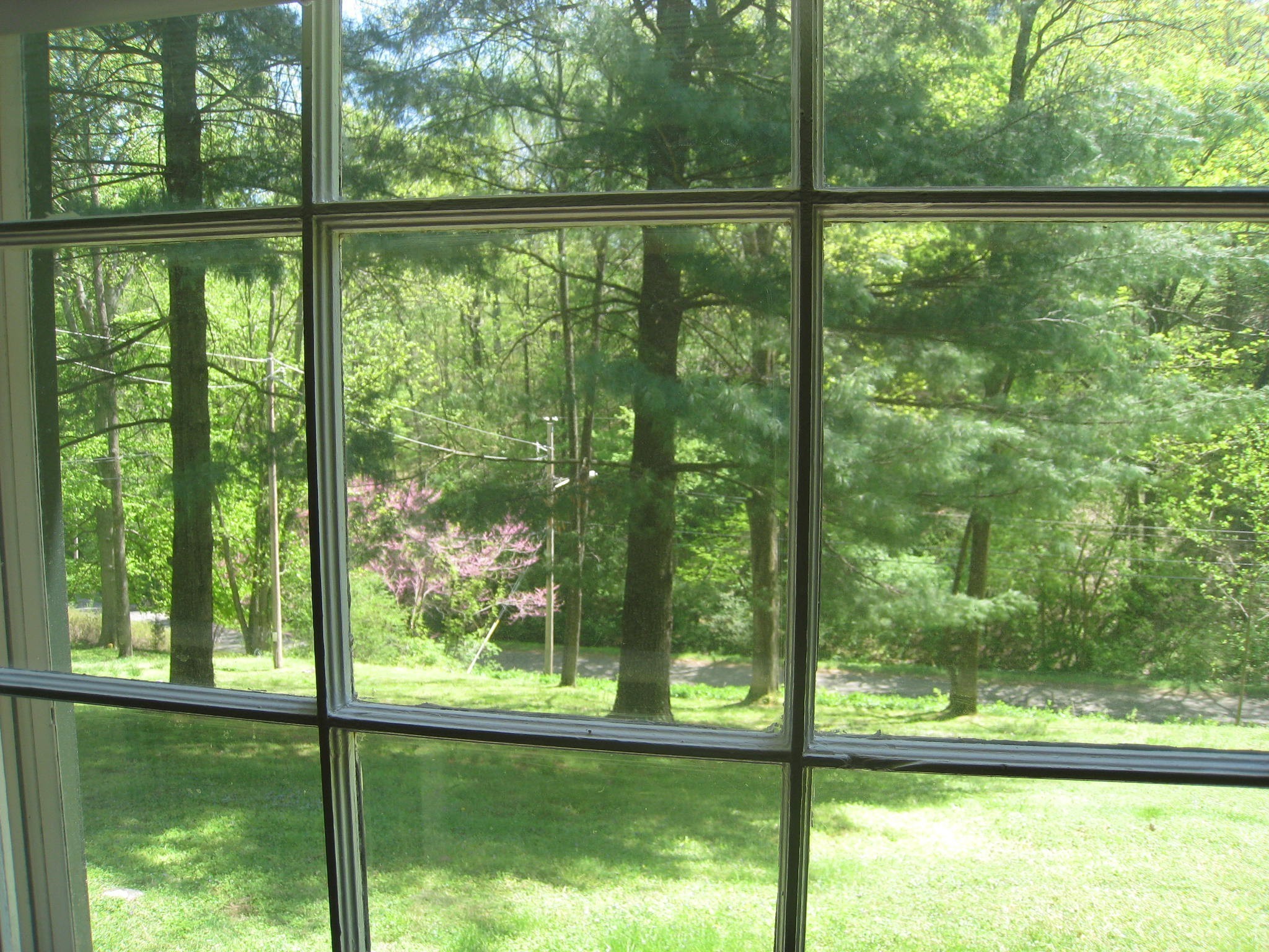 6612 Rolling Fork Drive Property Photo 33