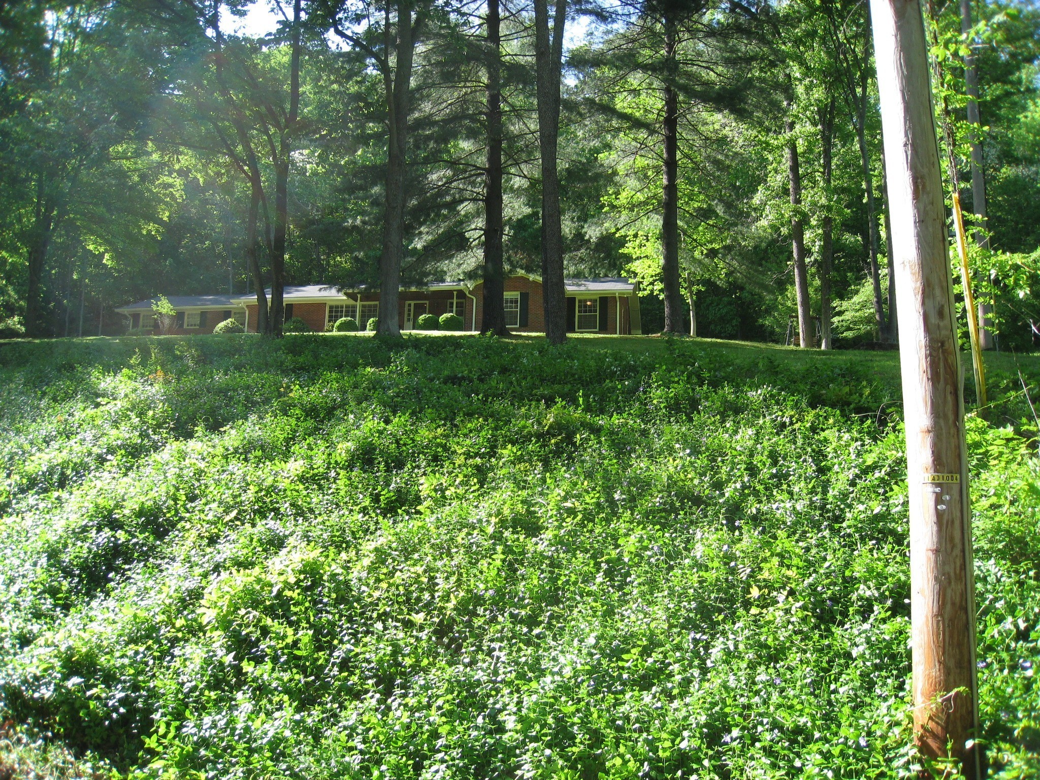 6612 Rolling Fork Drive Property Photo 64