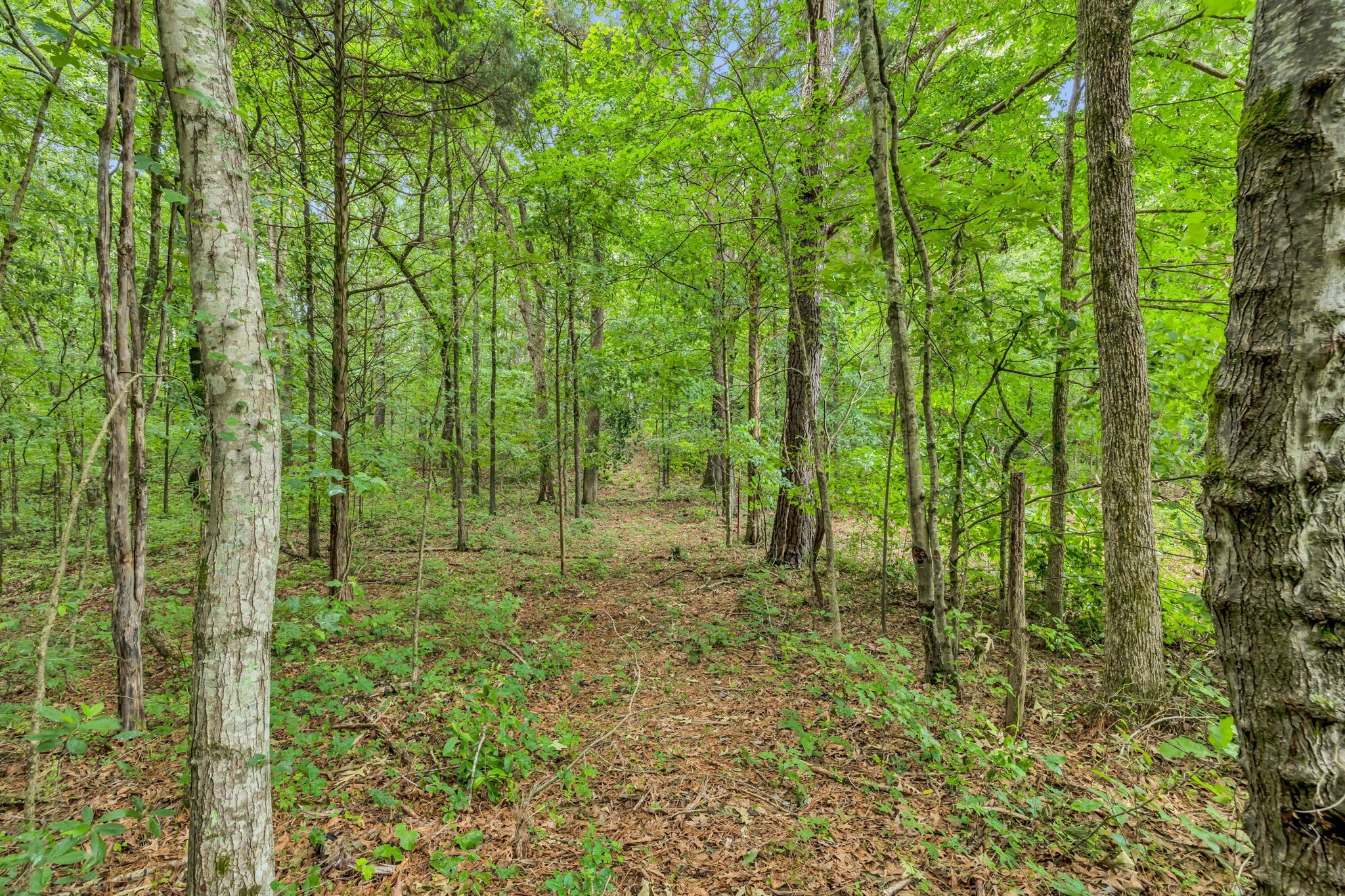 0 Eli Rd Property Photo