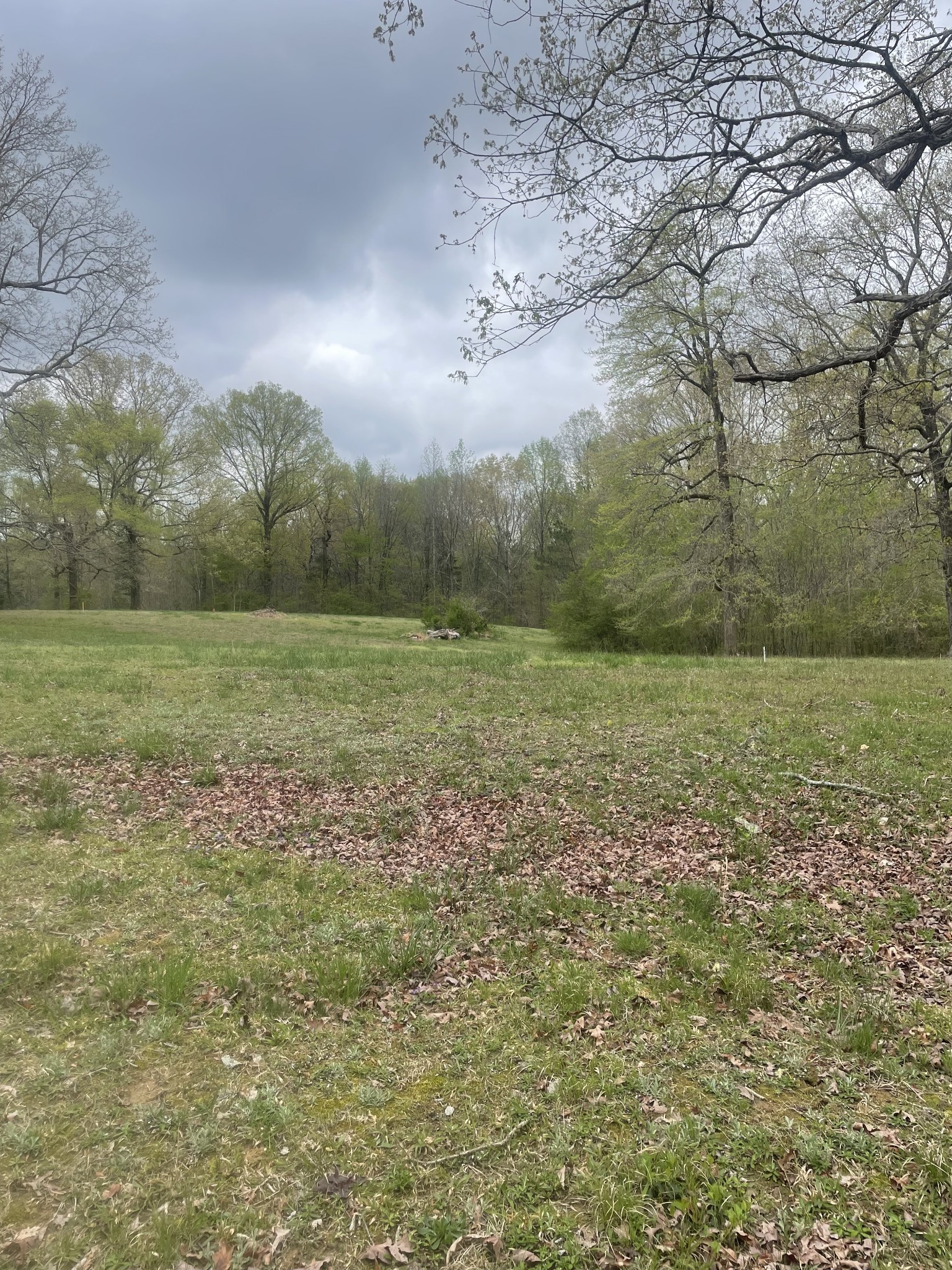 0 Cain Brake Property Photo