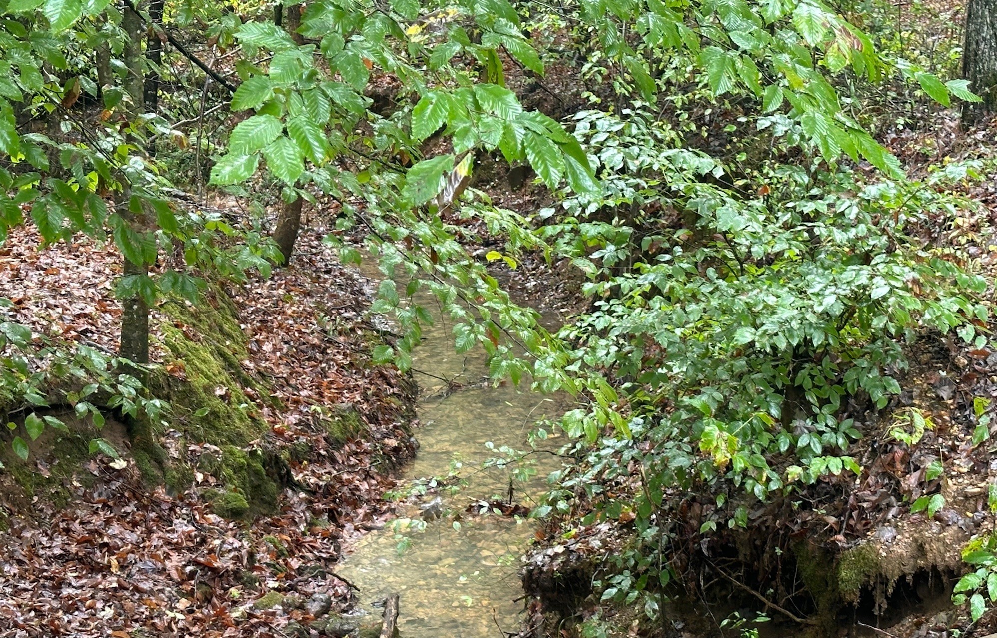 0 Cave Branch Rd Property Photo 2