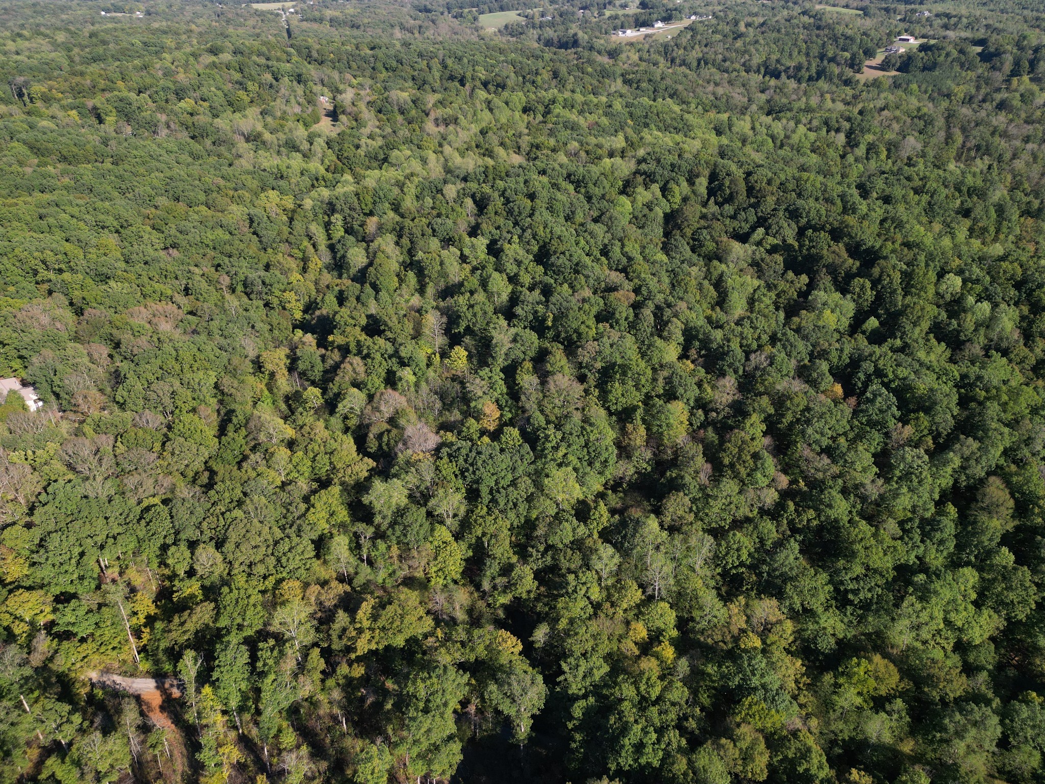 0 Cave Branch Rd Property Photo 4