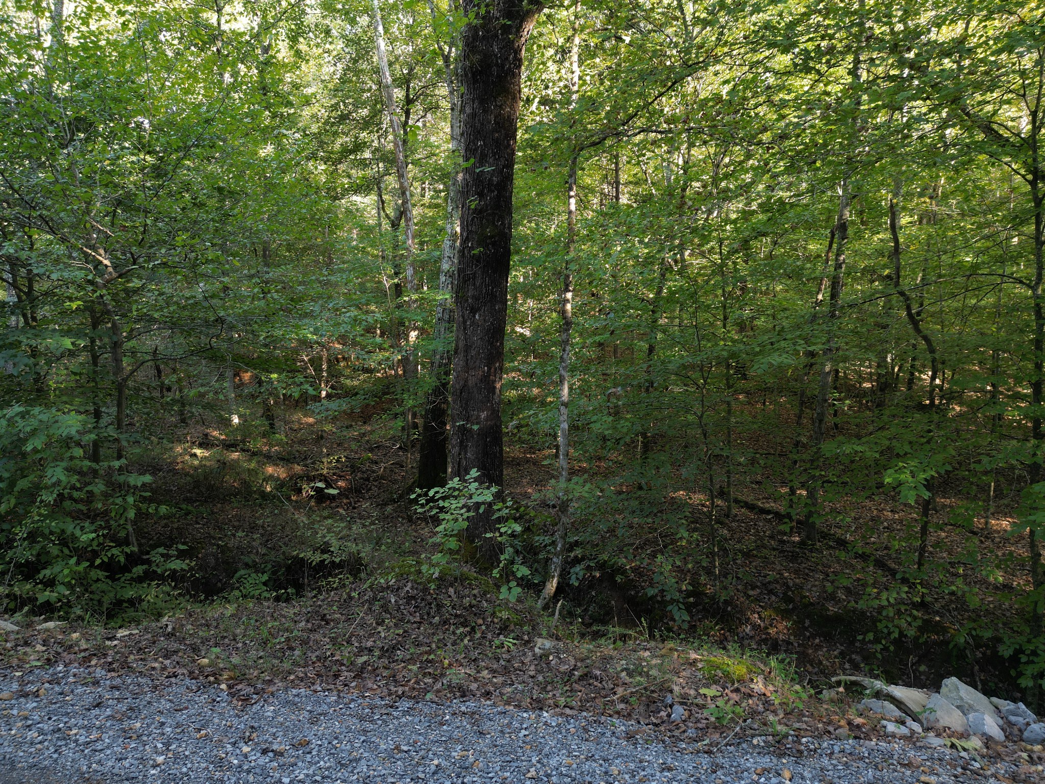 0 Cave Branch Rd Property Photo 18