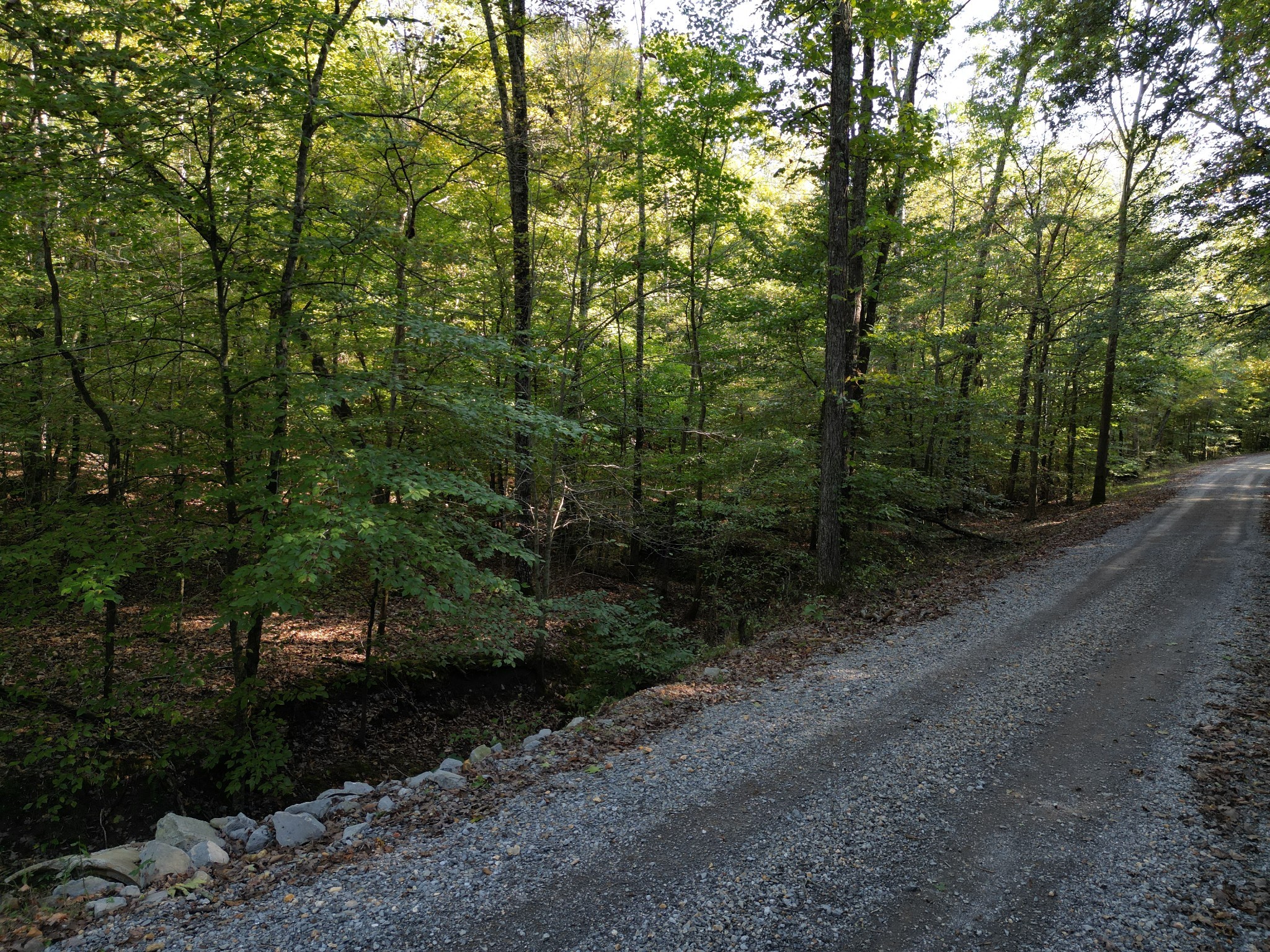 0 Cave Branch Rd Property Photo 19