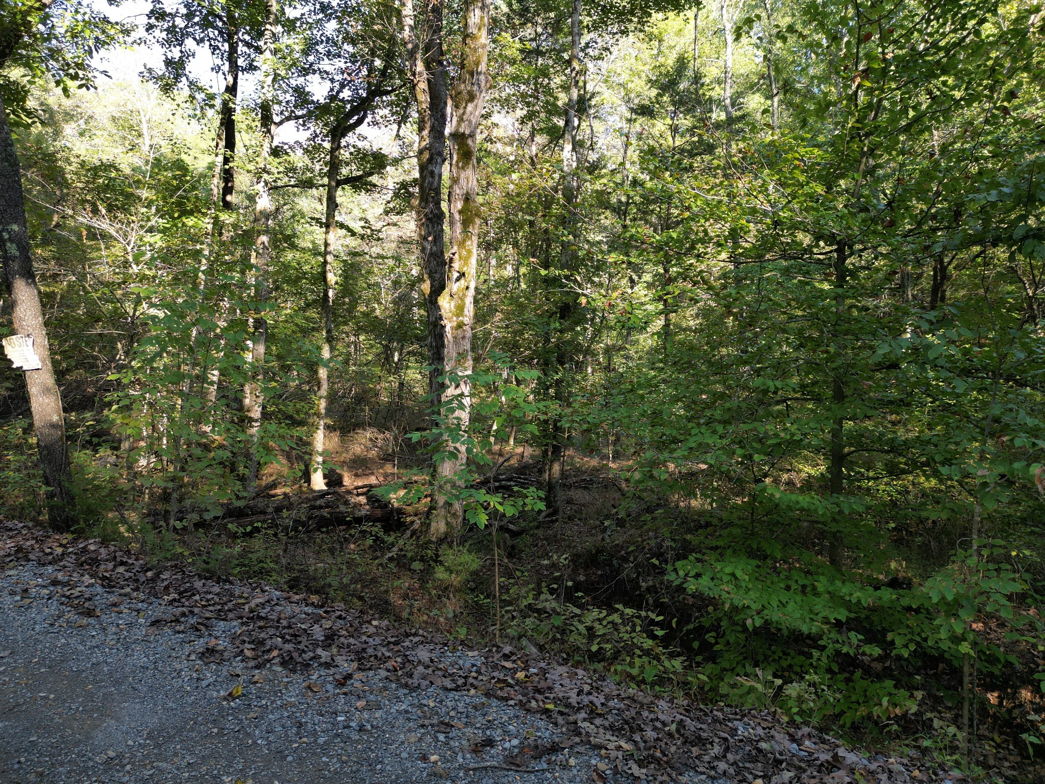 0 Cave Branch Rd Property Photo 22
