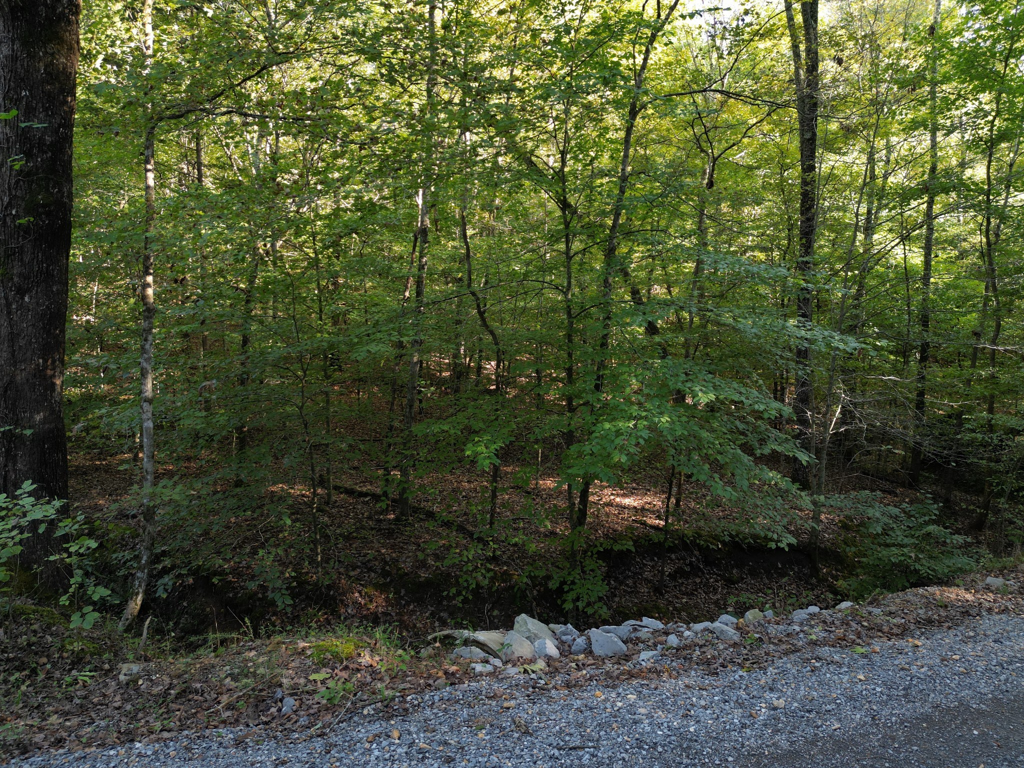 0 Cave Branch Rd Property Photo 23