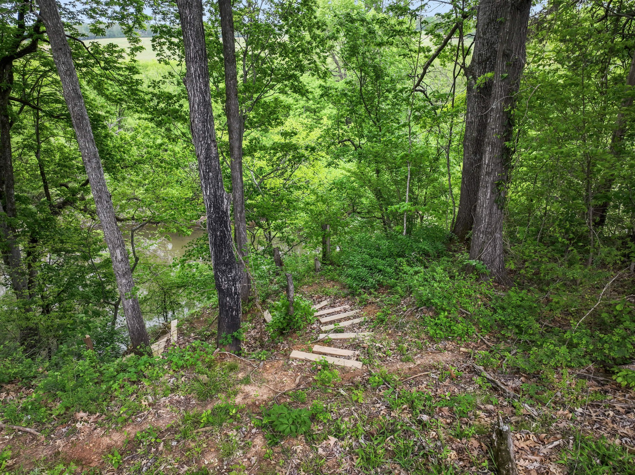 2214 Sims Rd Property Photo 42