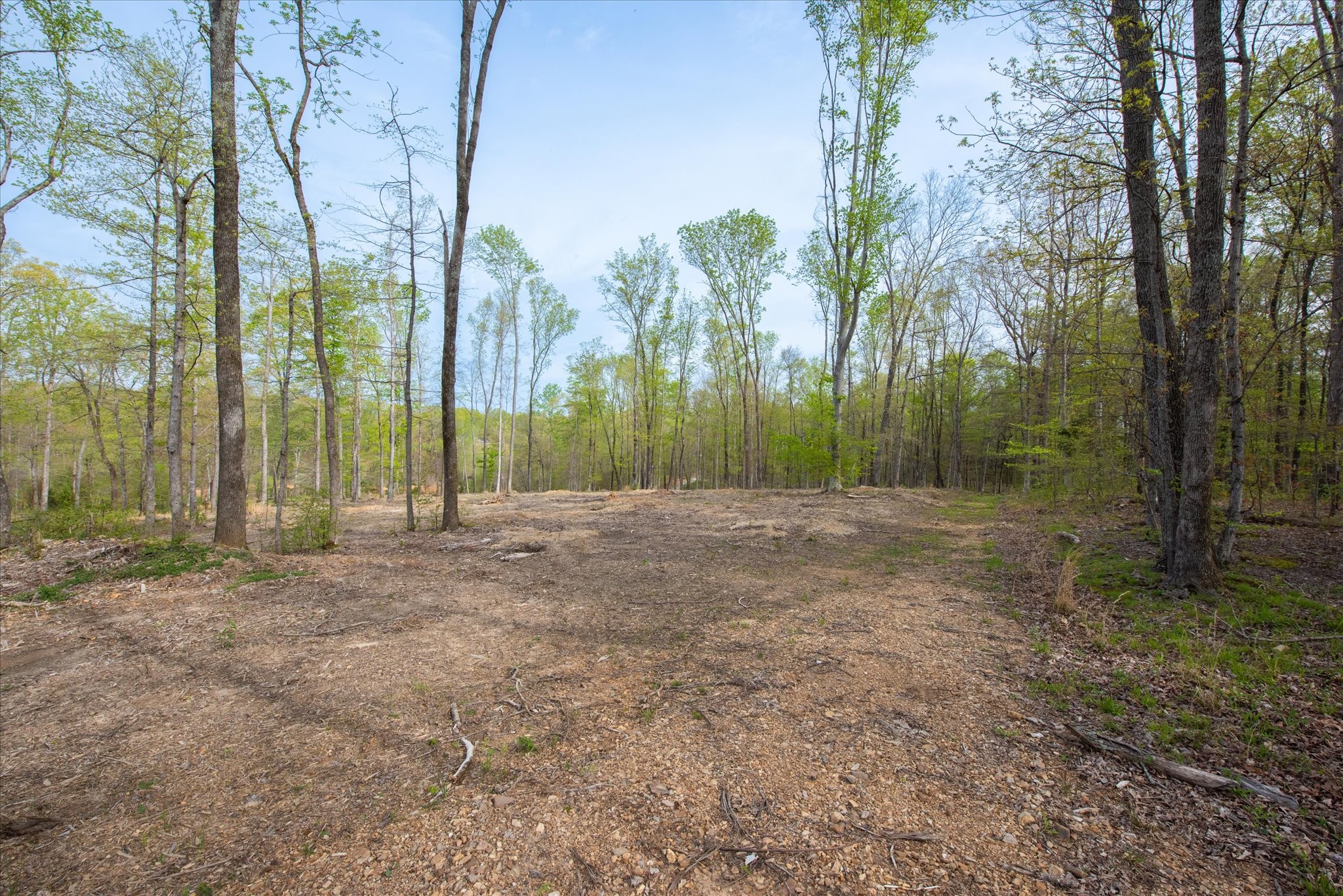 0 Norris Hollow Road Property Photo