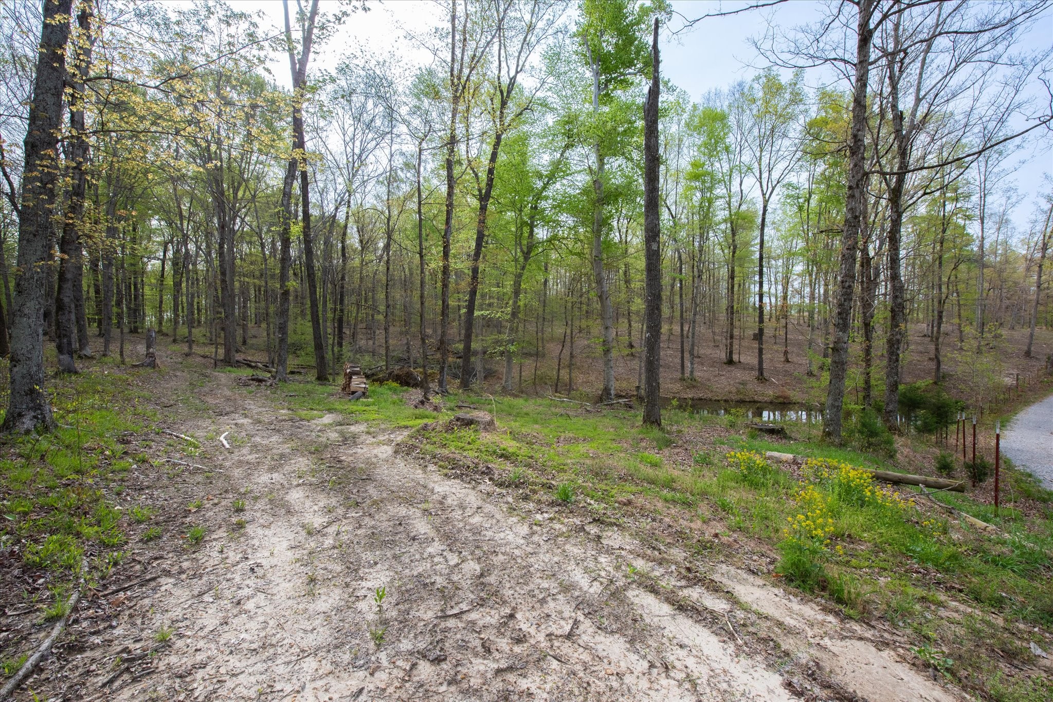 0 Norris Hollow Road Property Photo 1