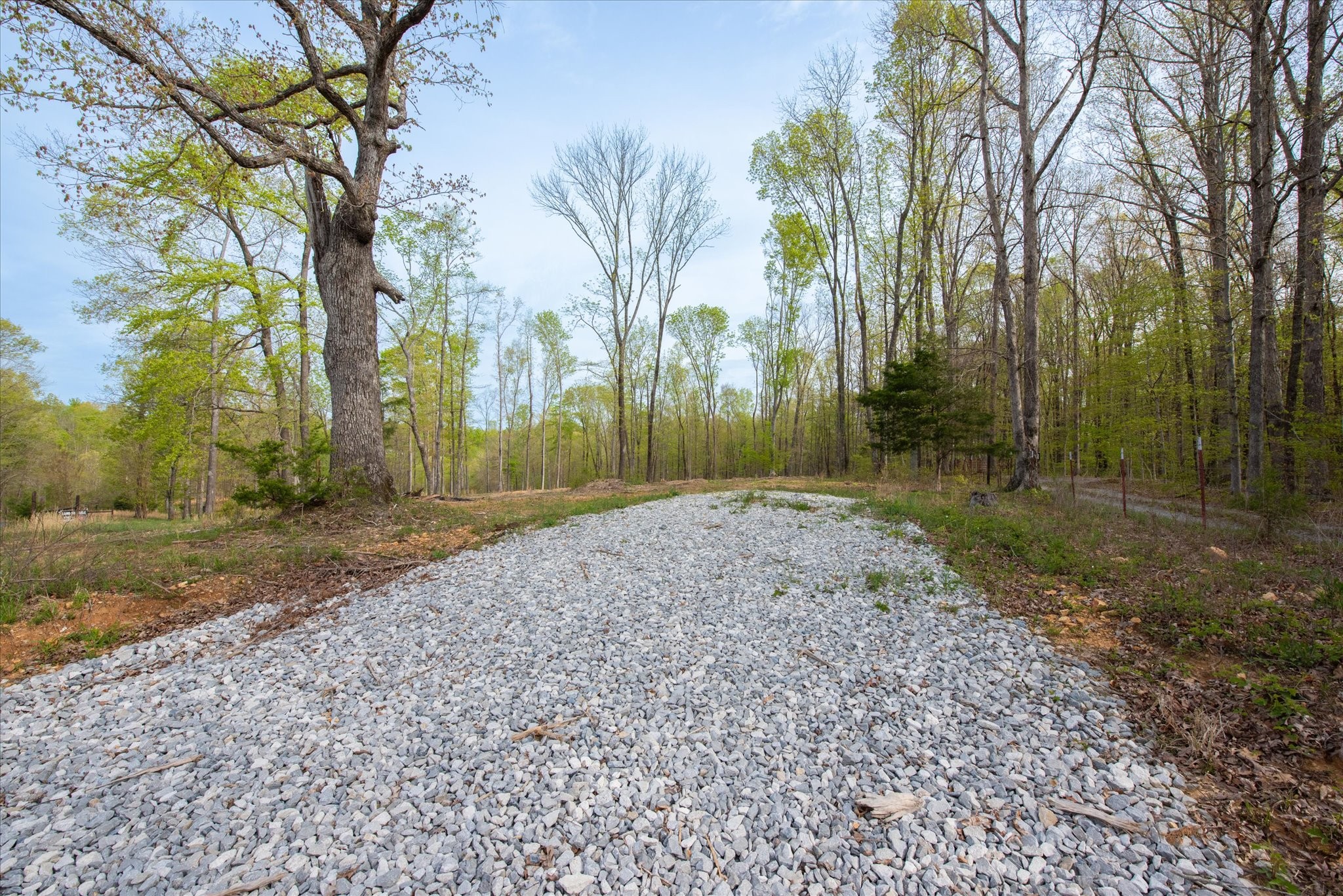 0 Norris Hollow Road Property Photo 4