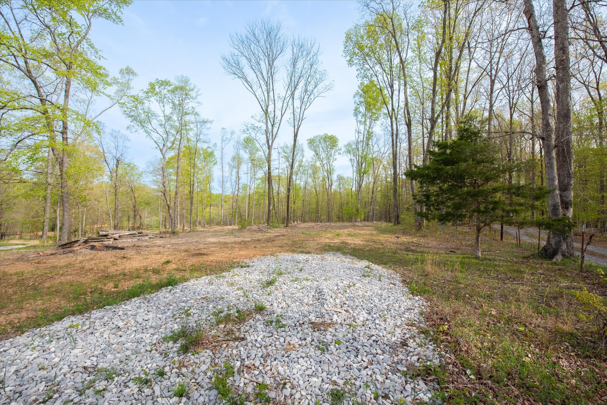 0 Norris Hollow Road Property Photo 5