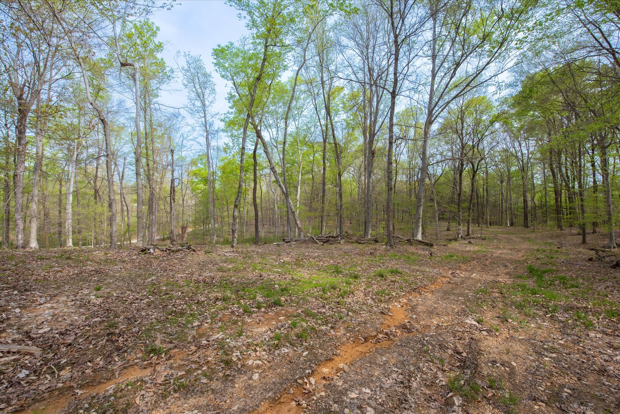 0 Norris Hollow Road Property Photo 6