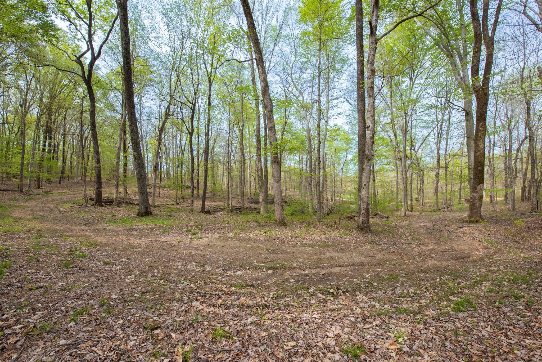 0 Norris Hollow Road Property Photo 7