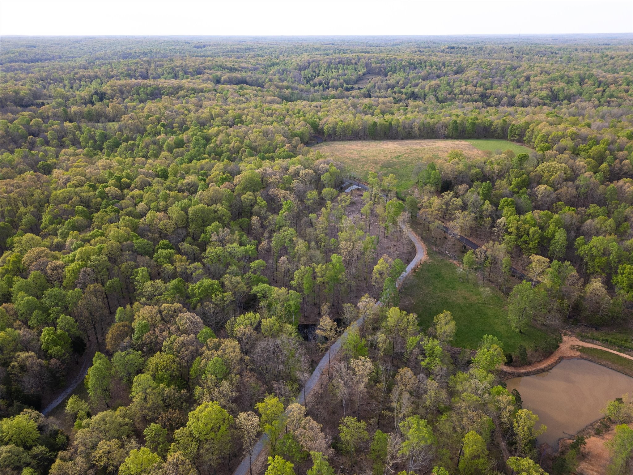 0 Norris Hollow Road Property Photo 15