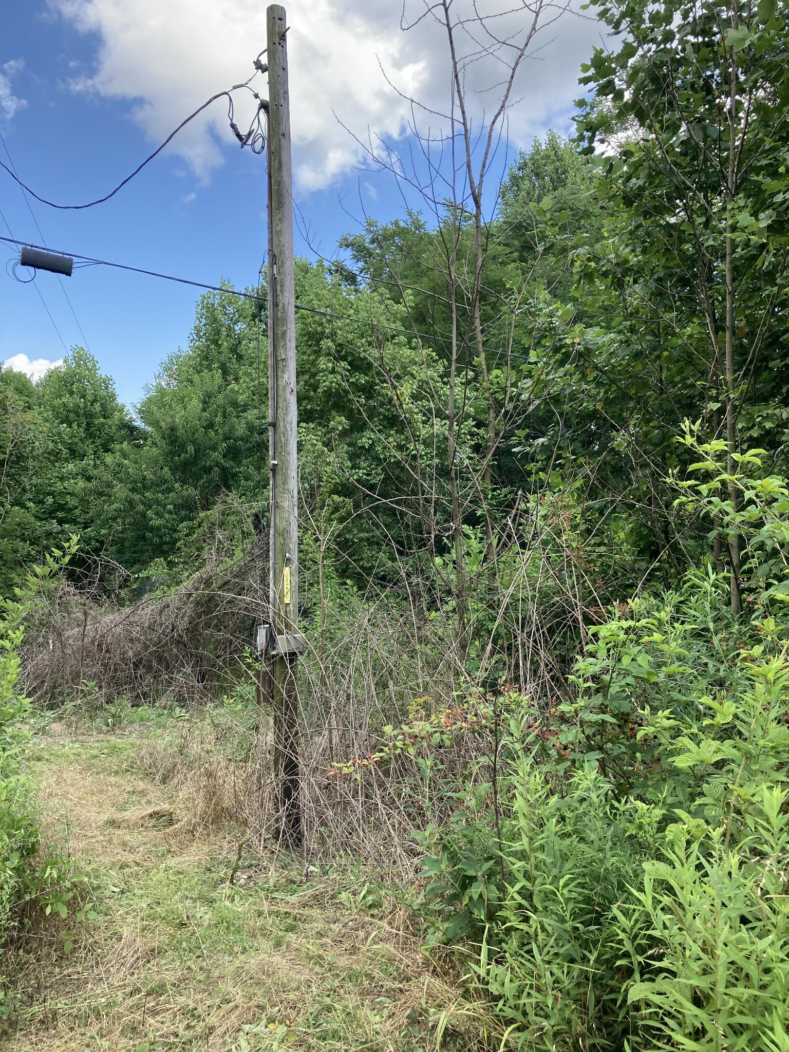 2207 Riley Creek Rd Property Photo 4