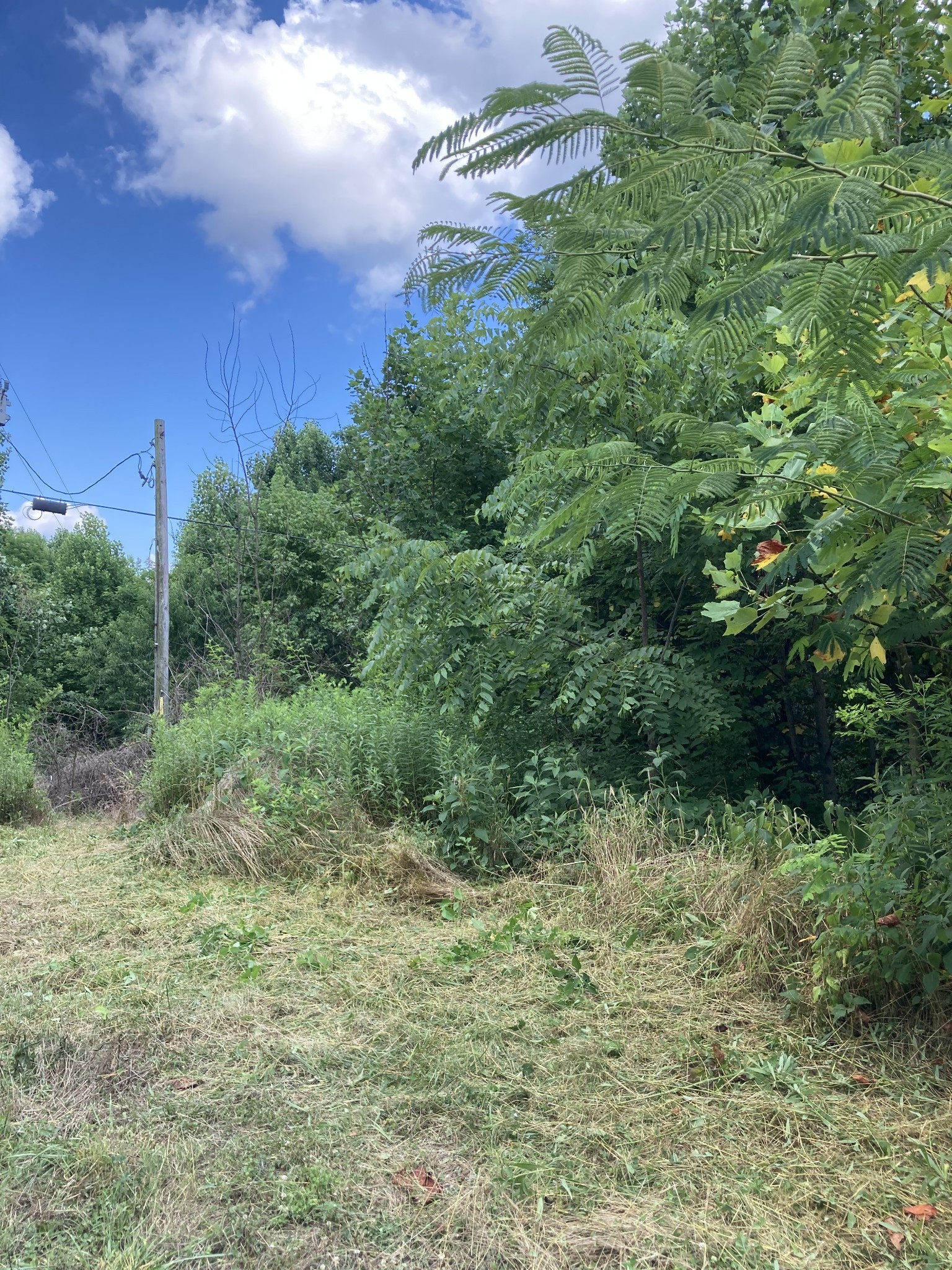 2207 Riley Creek Rd Property Photo 5