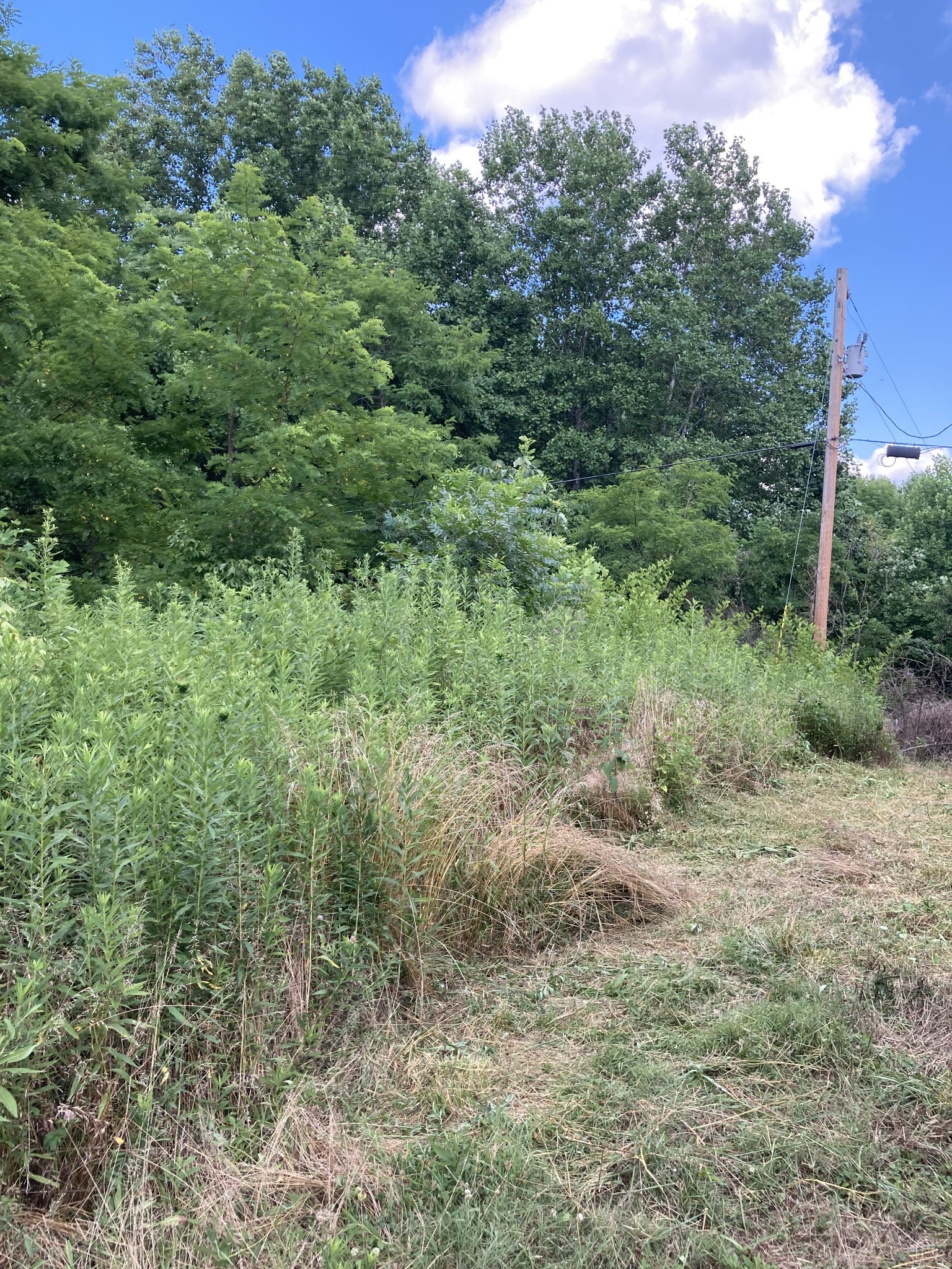 2207 Riley Creek Rd Property Photo 6