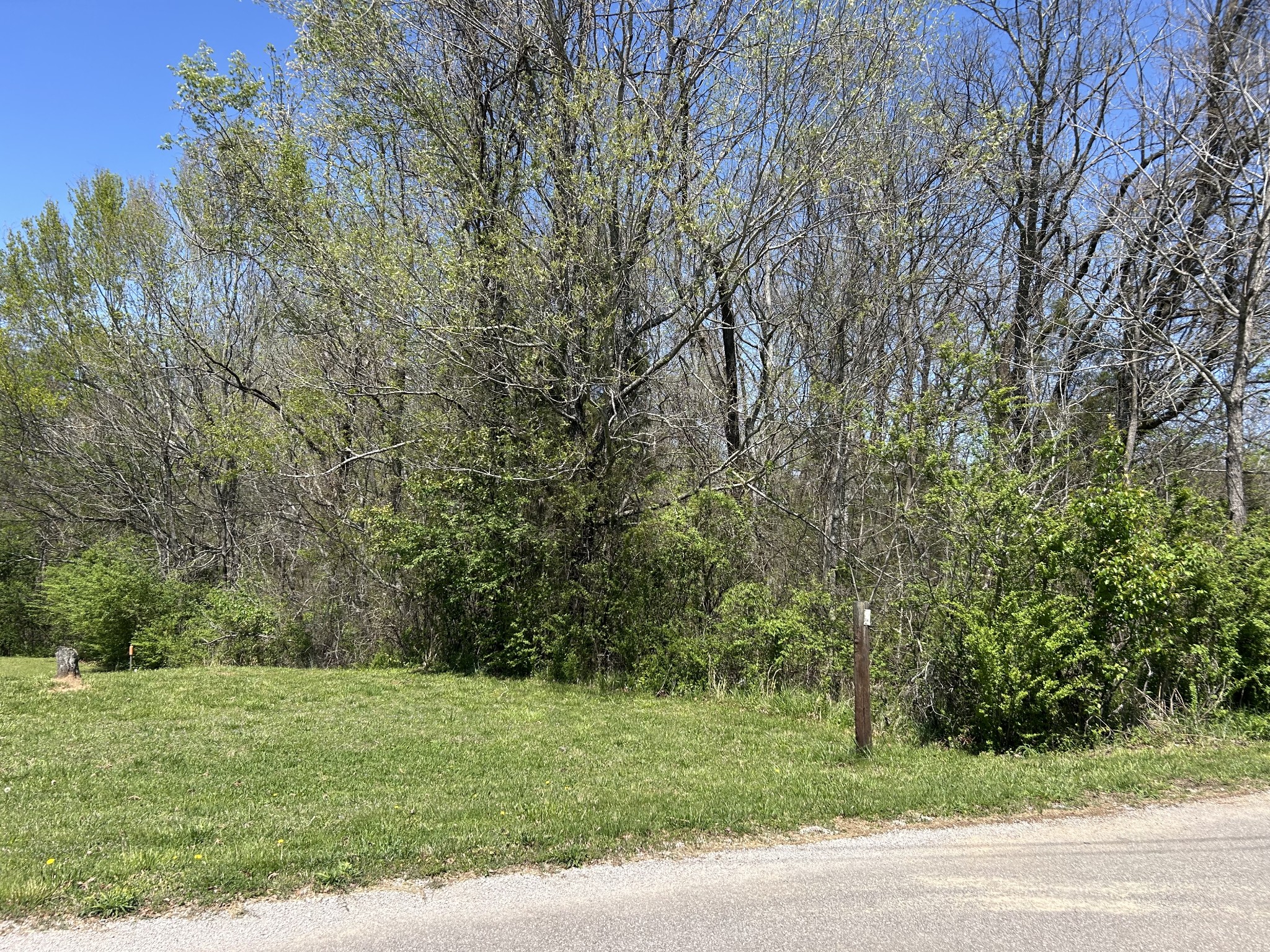 356 Munro Rd Property Photo 5