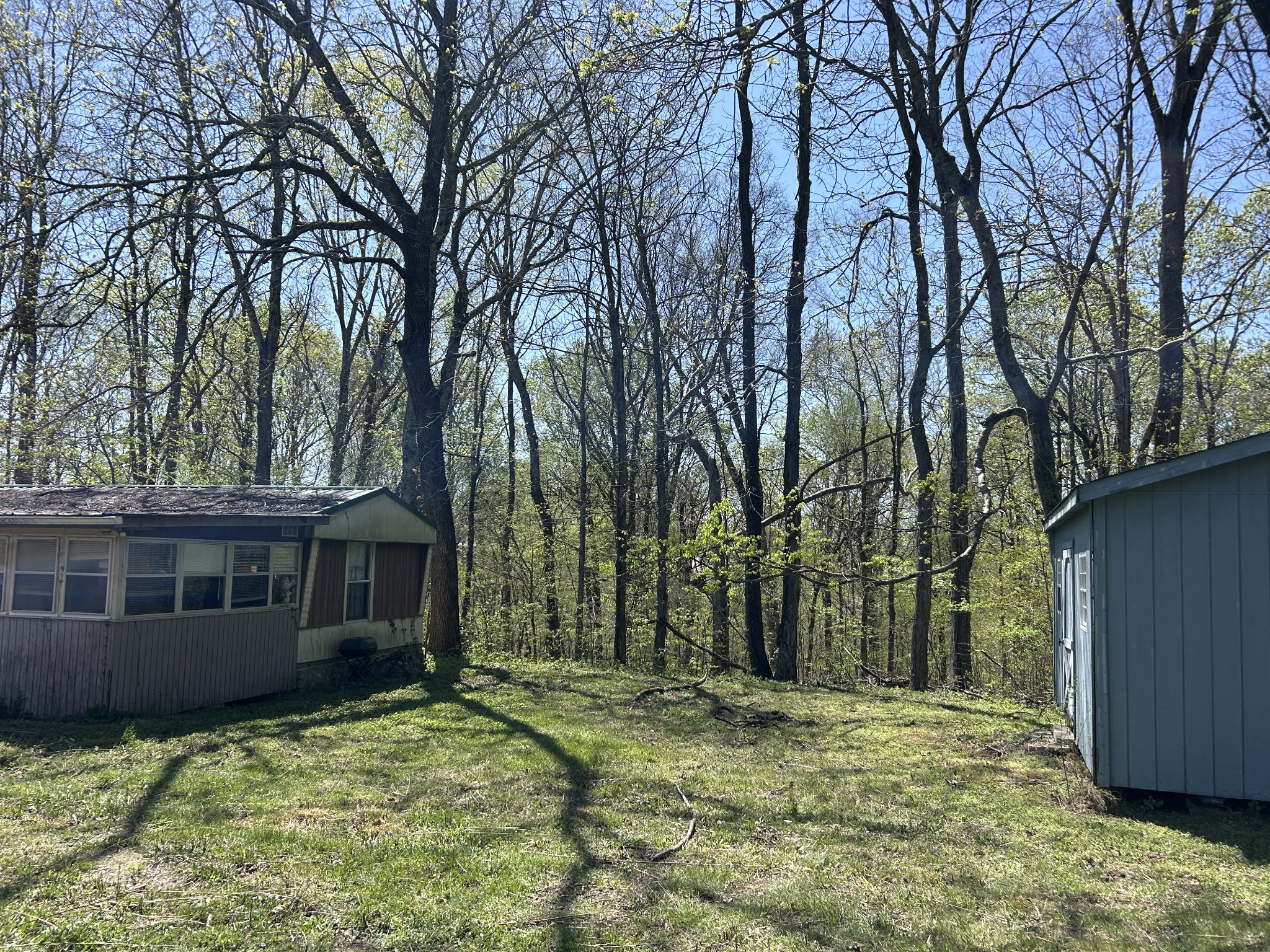 356 Munro Rd Property Photo 11