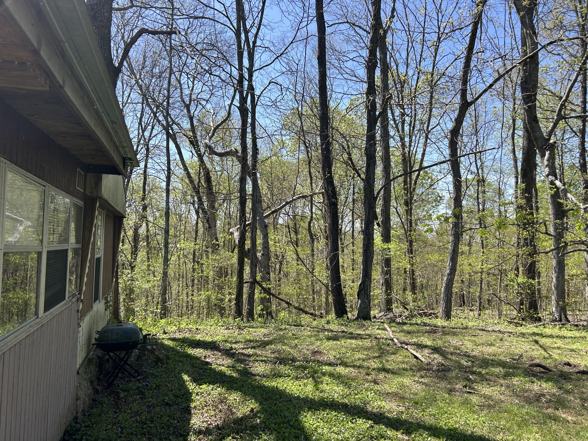 356 Munro Rd Property Photo 15