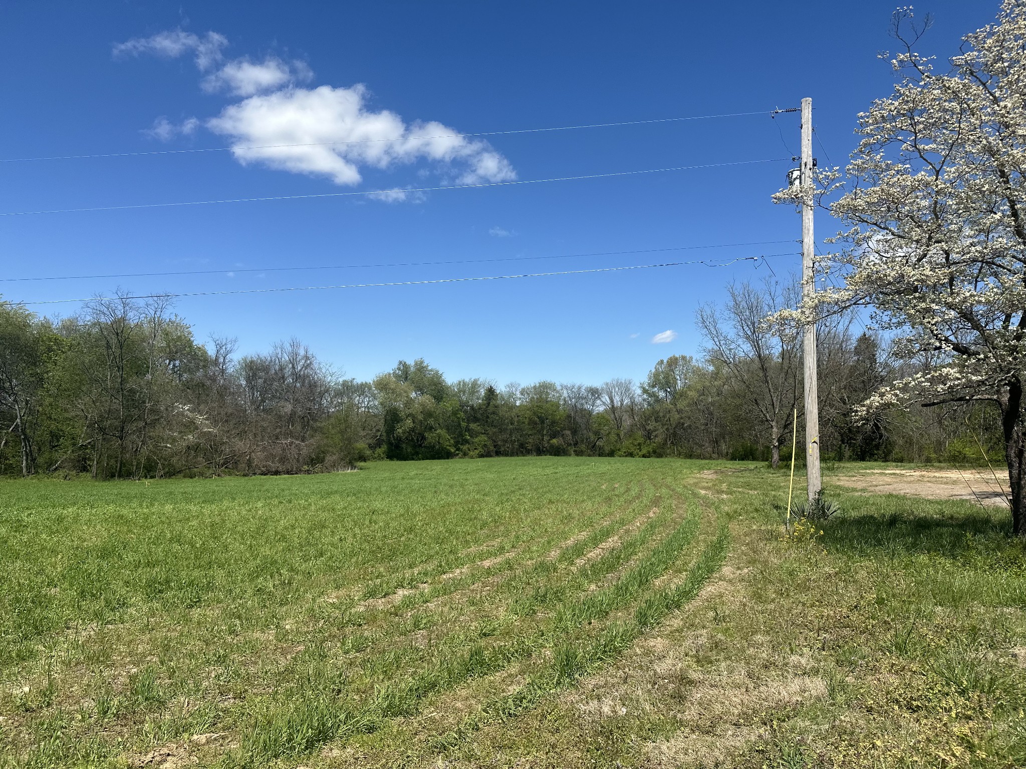 4844 Hwy 31w Property Photo 7