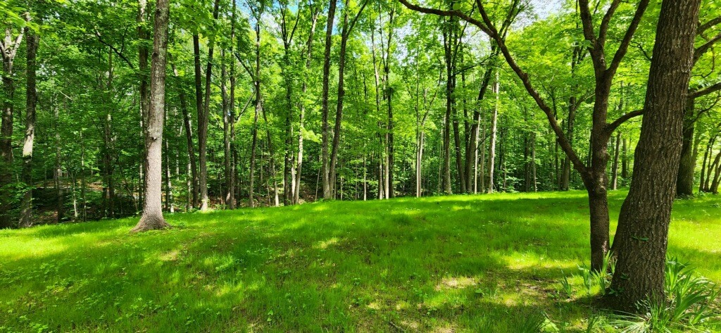 0 Magamor Dr Property Photo 6