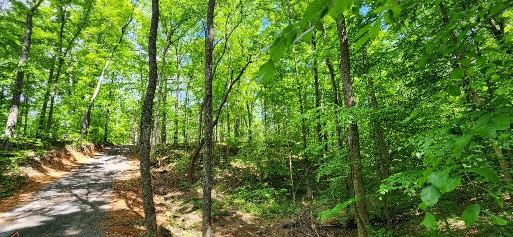 0 Magamor Dr Property Photo 7