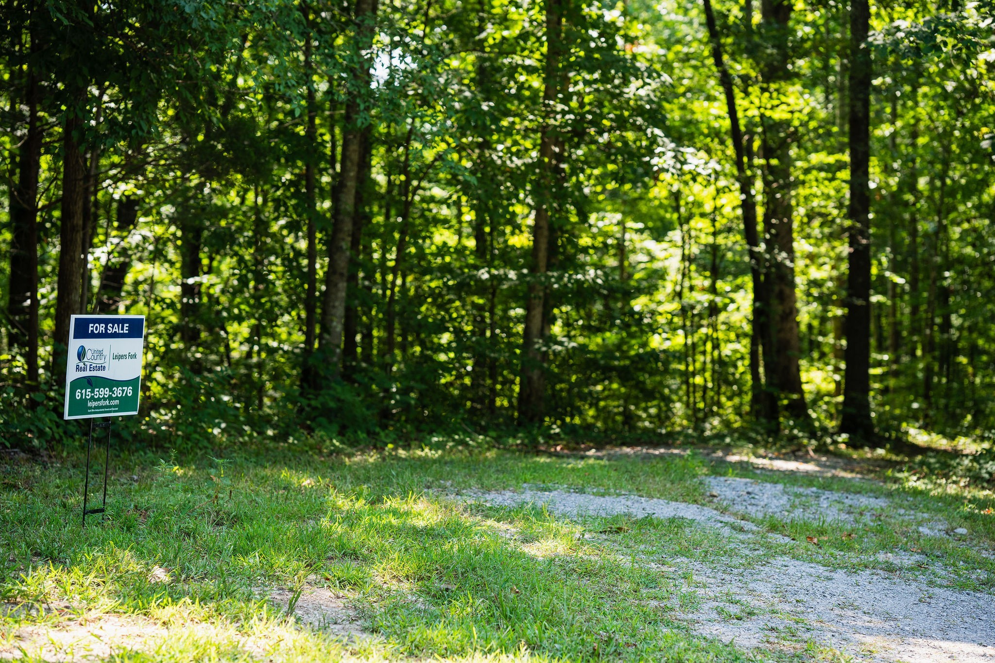 0 Songbird Springs Ln Property Photo 3