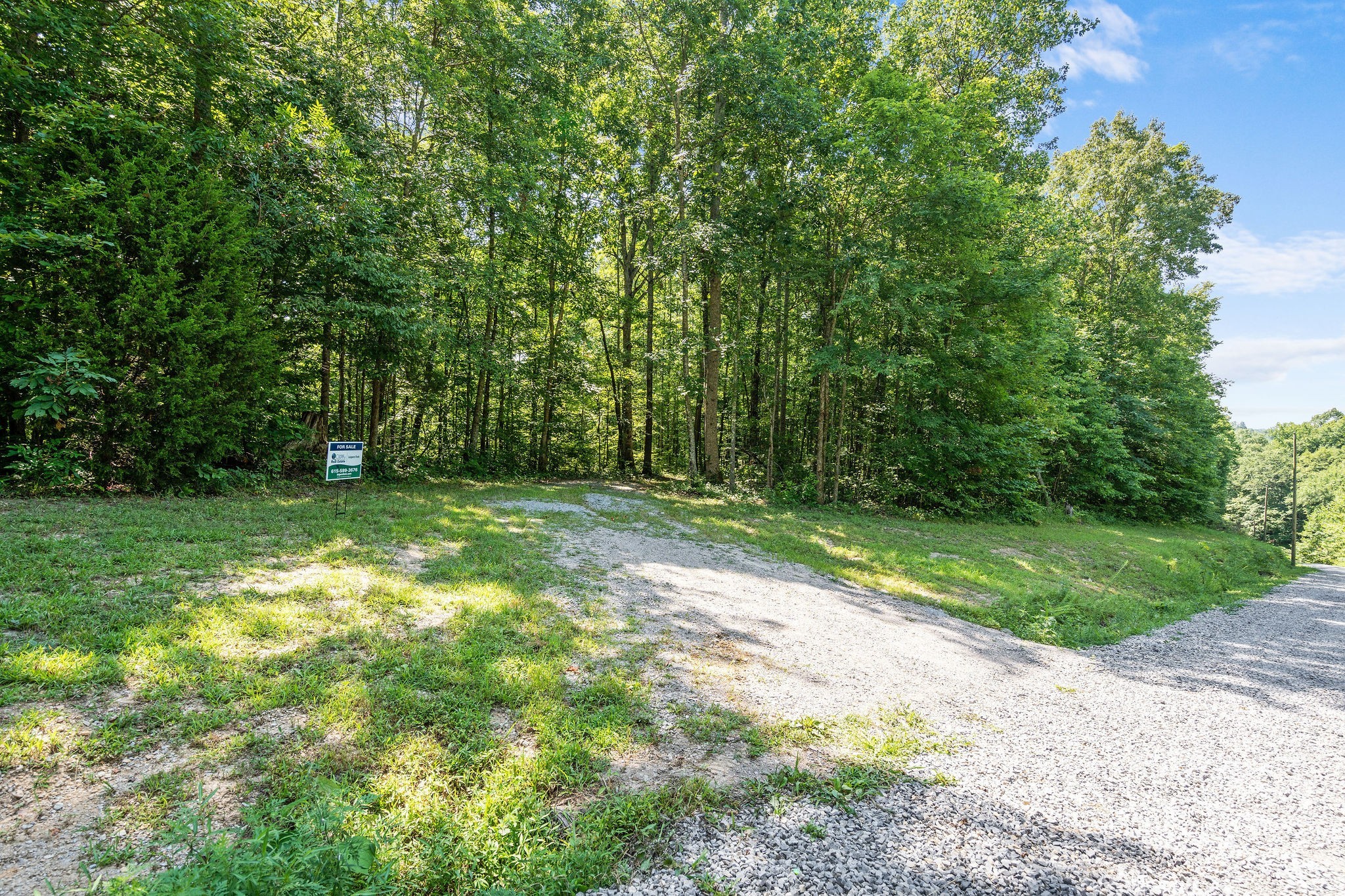 0 Songbird Springs Ln Property Photo 4