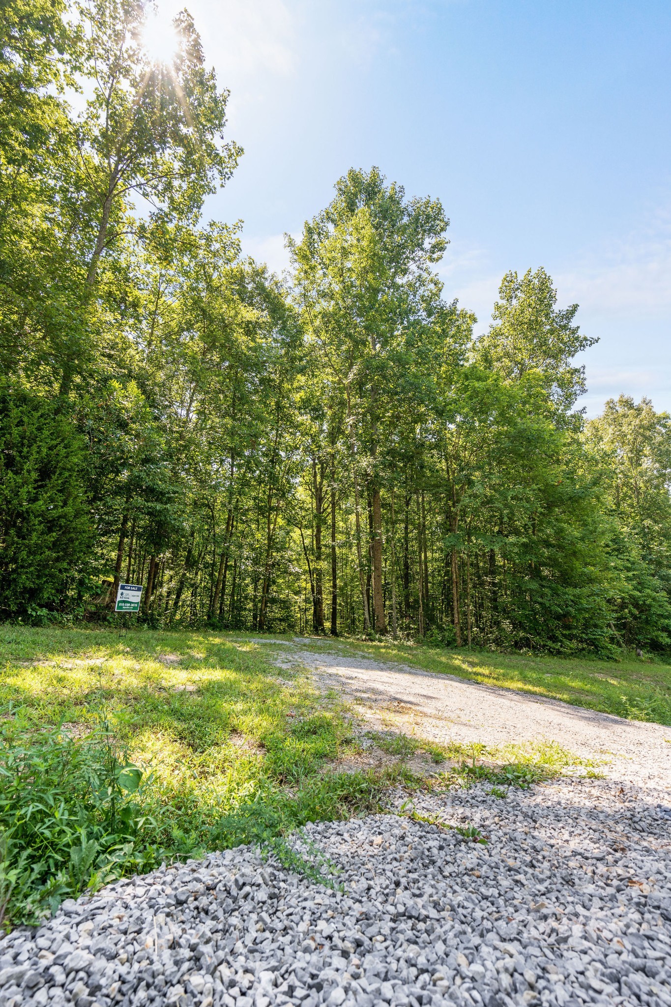 0 Songbird Springs Ln Property Photo 11