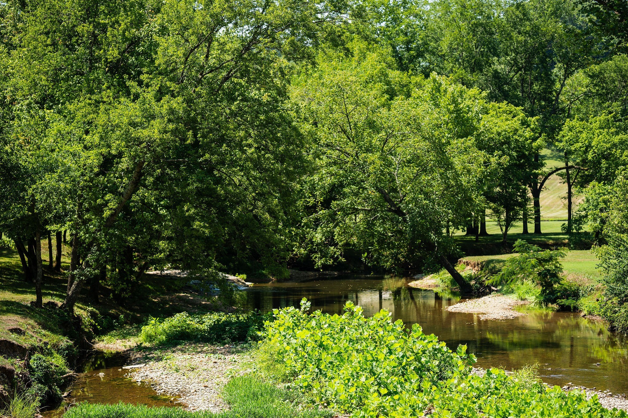 0 Songbird Springs Ln Property Photo 16