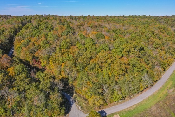 0 Songbird Springs Ln Property Photo 32