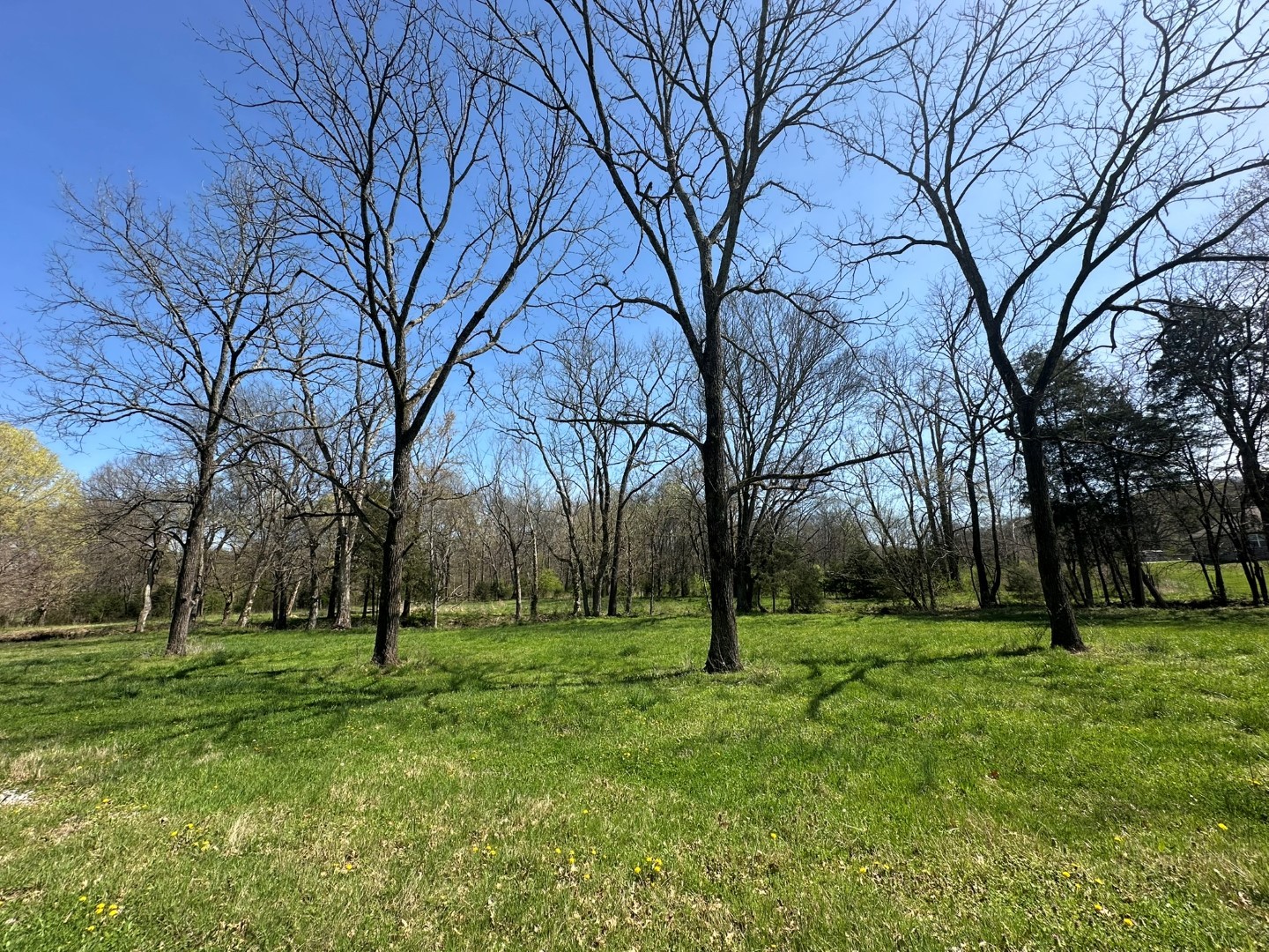 0 John Sharp Road Property Photo 15