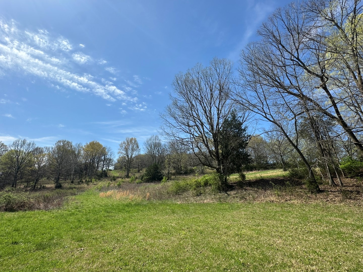0 John Sharp Road Property Photo 16