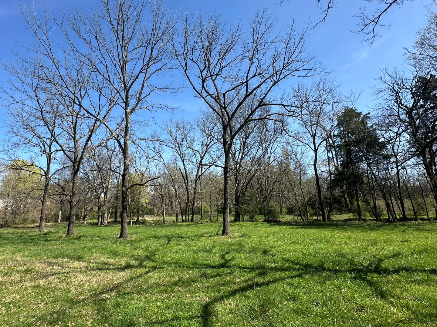 0 John Sharp Road Property Photo 17
